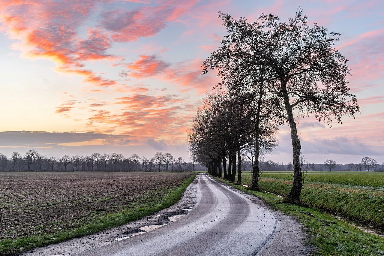 Landwirtschaftliche Feldgrenzen in Deutschland