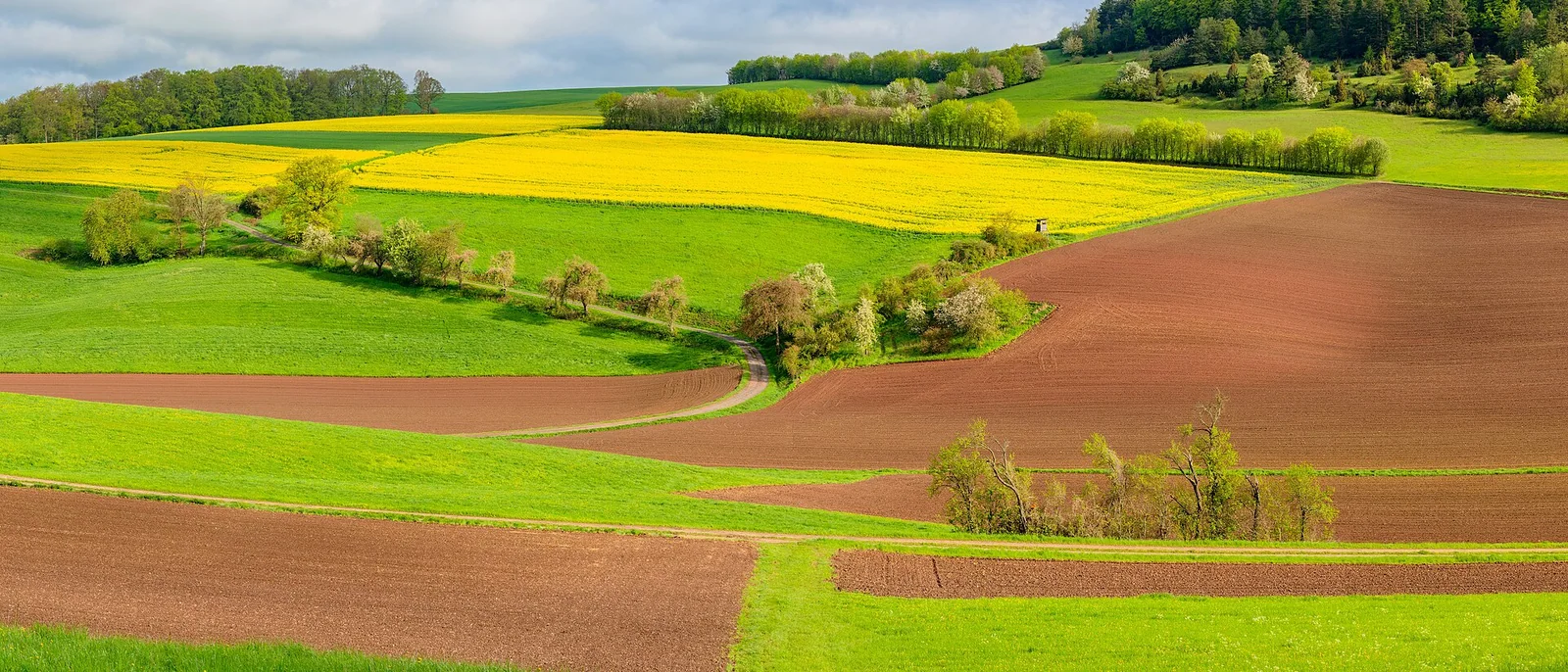 Feldweg zwischen deutschen Ackerflächen